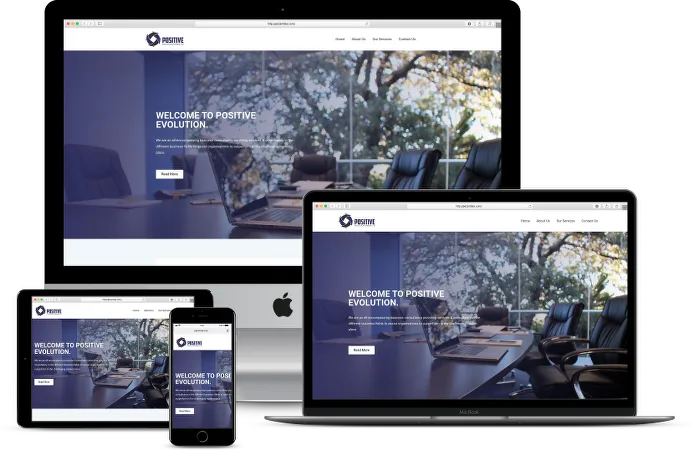 Positive Evolution Zambia Limited